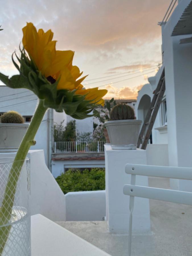 Suites Edivino Design Capri Exterior foto