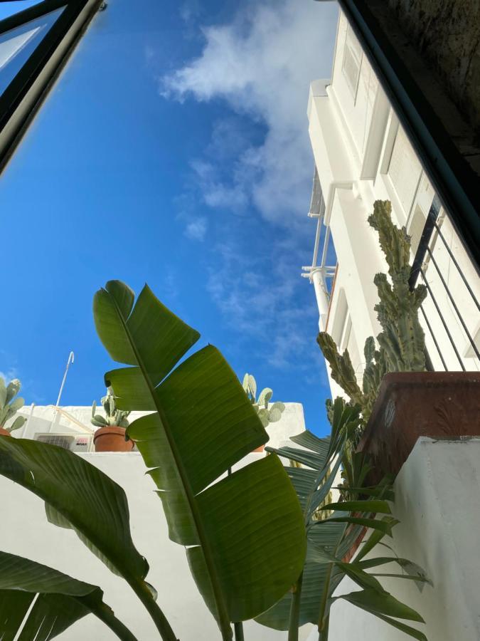 Suites Edivino Design Capri Exterior foto